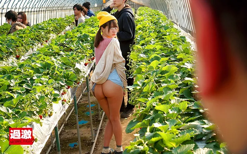 แอบเย็ดในไร่