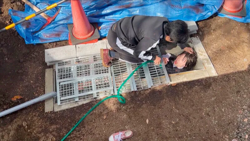 หนังญี่ปุ่นวิปริต